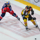 Vienna Capitals gegen Red Bull Salzburg: Bilder vom Spiel