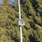 Radarbox in Hohenems