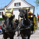 Kutsche XXIII.JPG