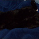 Lucky vermisst 3_JPG-1277938086