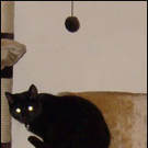 Lucky vermisst 4_JPG-1277938097