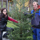 Christbäume am Sunnahof