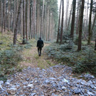 IMG_1245.JPG