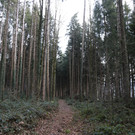 IMG_1250.JPG
