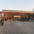 IMG_5379.JPG
