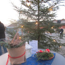 IMG_5391.JPG