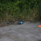 normal_300610vueuggaaktivnews_0015.jpg