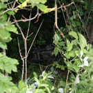 normal_300610vueuggaaktivnews_0032.jpg