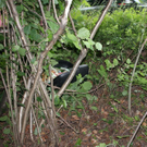 normal_300610vueuggaaktivnews_0041.jpg