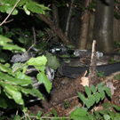 normal_300610vueuggaaktivnews_0046.jpg