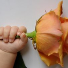 1057844_flower_in_small_hand_jpg-1277969588