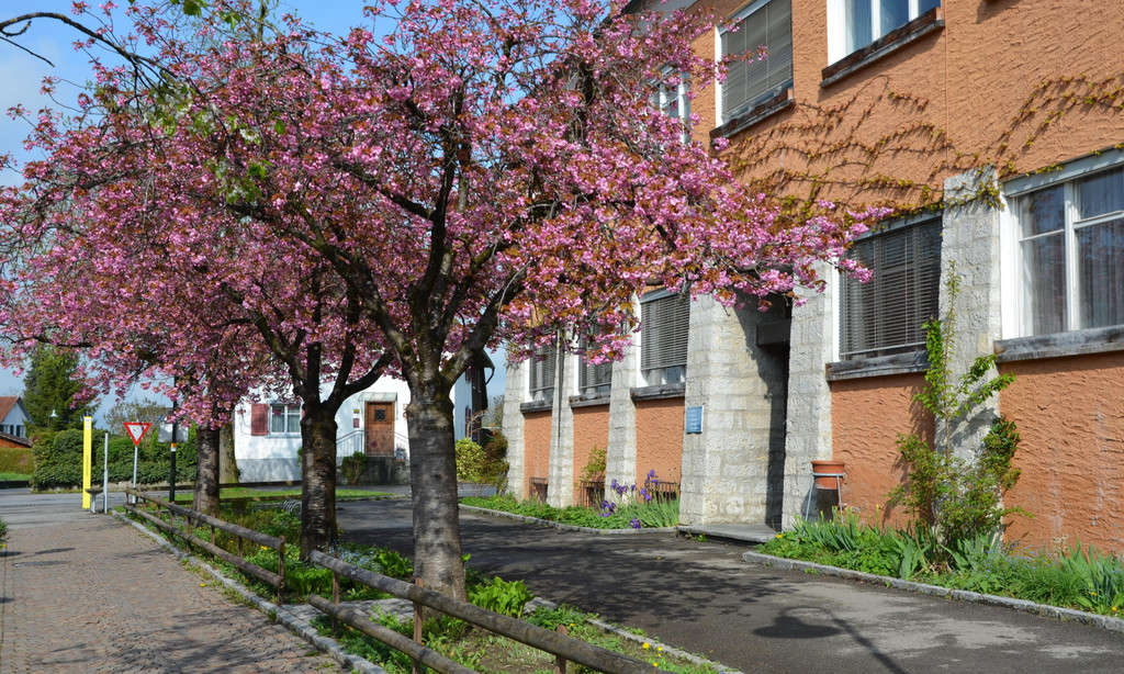Vortrag 1811_85a.jpg