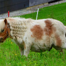 Vortrag 1811_118.JPG