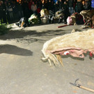 20161208fmt_WildeJagdGroedig_ex_11.JPG