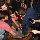 IMG_2951_JPG-1481442155.jpg