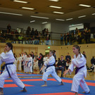 DSC_0937.JPG