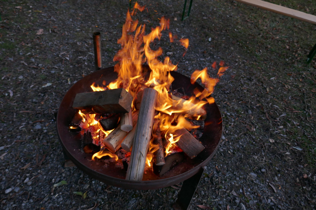 P1010874.JPG