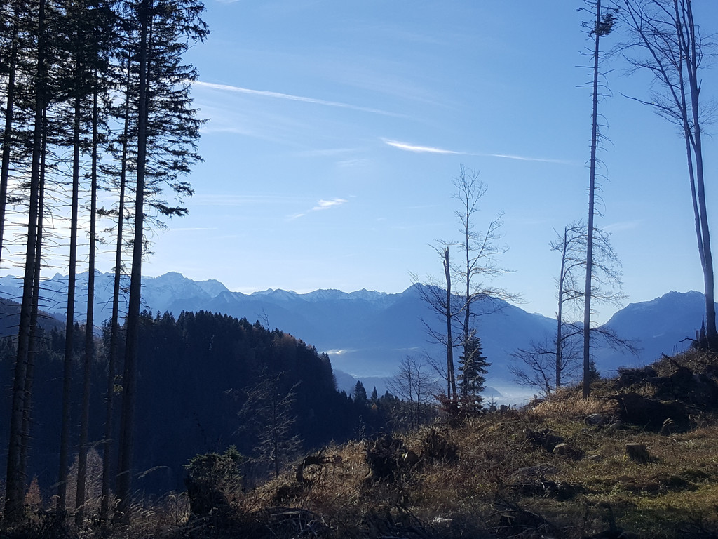 20161207_112709.jpg