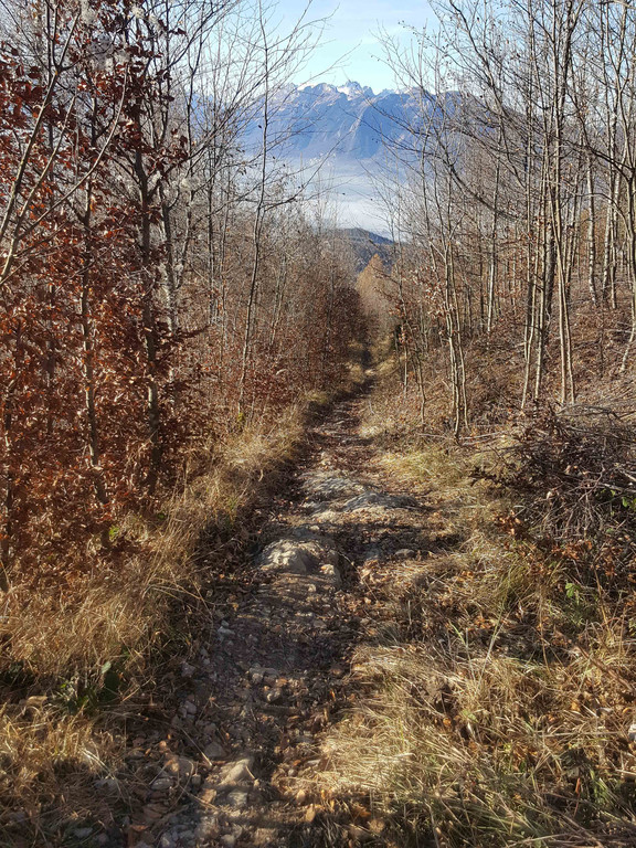 20161207_105827_bearbeitet-1.jpg