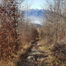 20161207_105827_bearbeitet-1.jpg