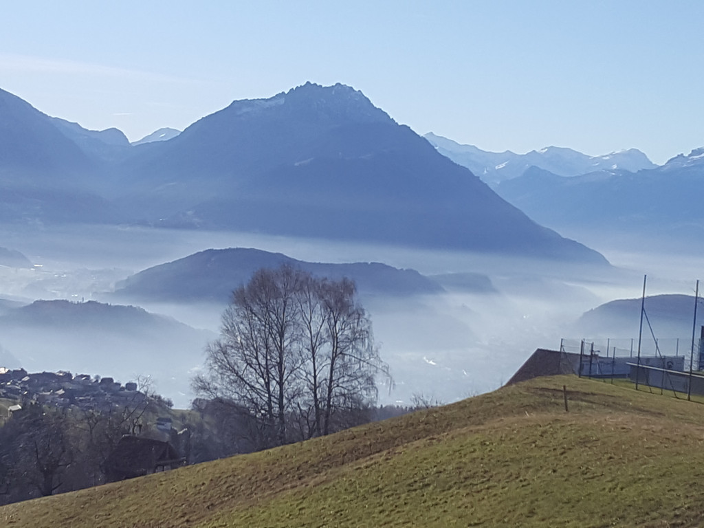 20161207_123652.jpg