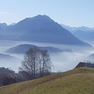 20161207_123652.jpg