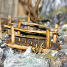 DSC09989.JPG