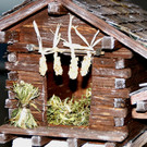 DSC09995.JPG