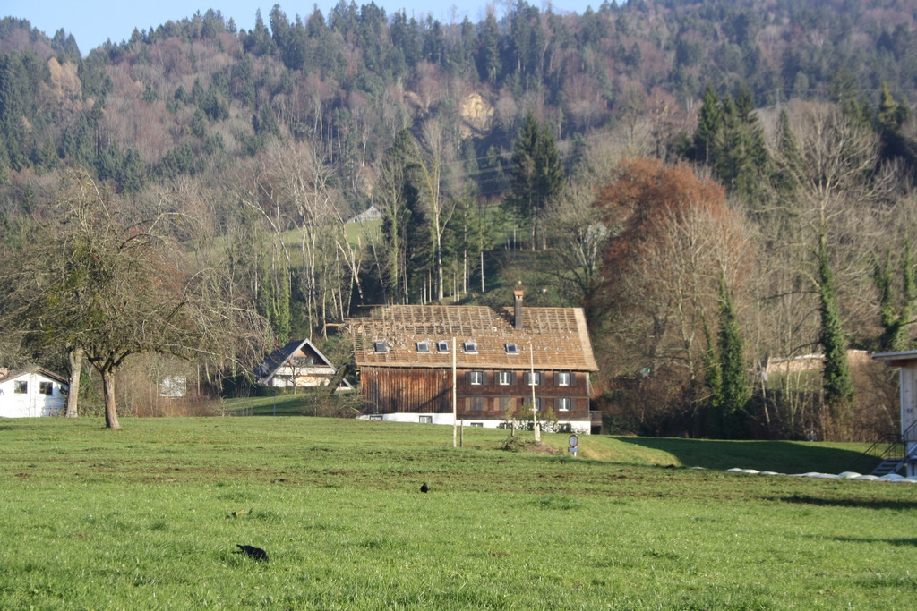 St__ckler Hofenm__hle ABBRUCH B 30-11-2016 _12_.JPG