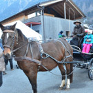 Weihnachtsmarkt Braz 2016 _25_.jpg