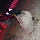 Krampuslauf Kl__sterle 2016 _174_.jpg
