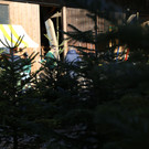 IMG_1691.JPG