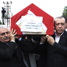 Turkey_Attack.jpg