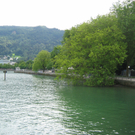 IMG_6972_JPG-1278021879