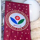 Weihnachtsball für Kinder „Energy for Life“ 2016 - Wiener Hofburg - 14.12.2016