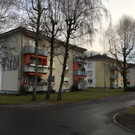 IMG_8593.JPG