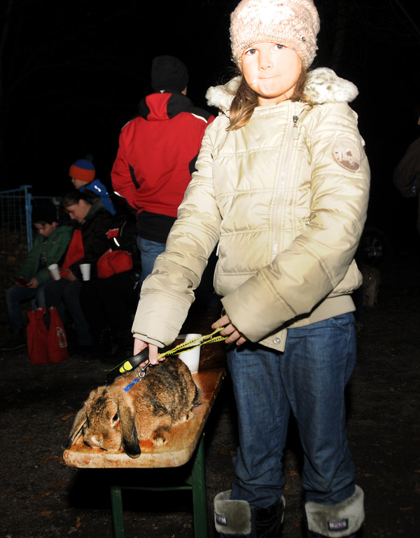 Tierhalter-Nikolaus 03-12-2016 63.jpg