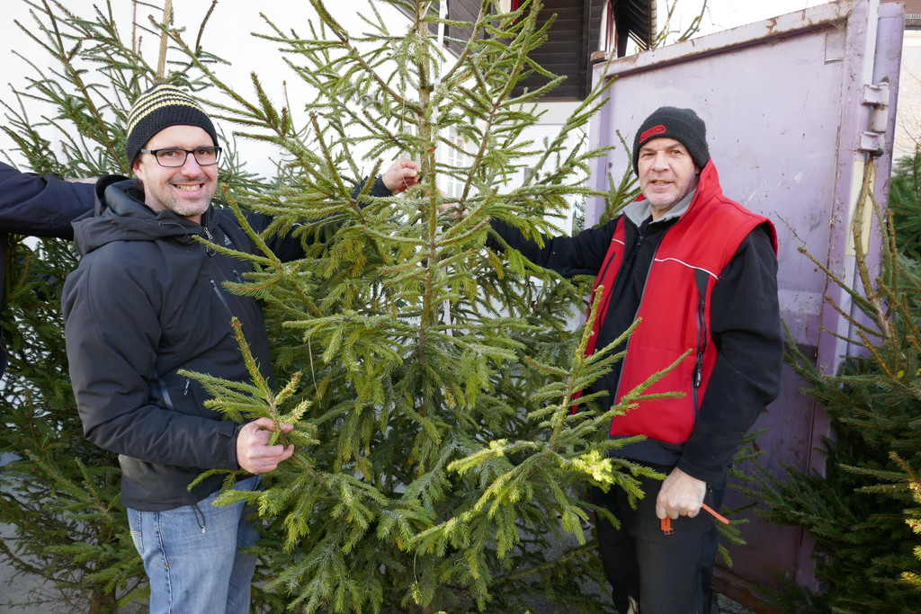 Christbaummarkt_2016 _5_.JPG