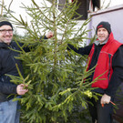 Christbaummarkt_2016 _5_.JPG