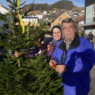 Christbaummarkt_2016 _11_.JPG
