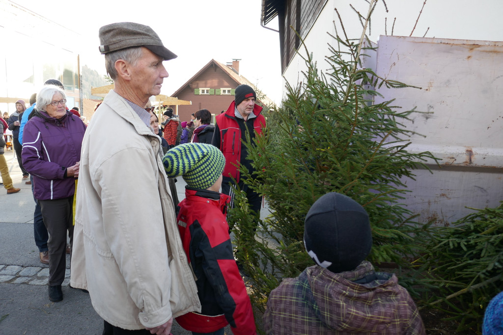 Christbaummarkt_2016 _3_.JPG
