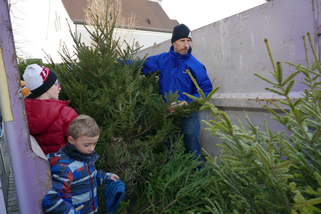 Christbaummarkt_2016 _4_.JPG