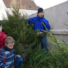 Christbaummarkt_2016 _4_.JPG