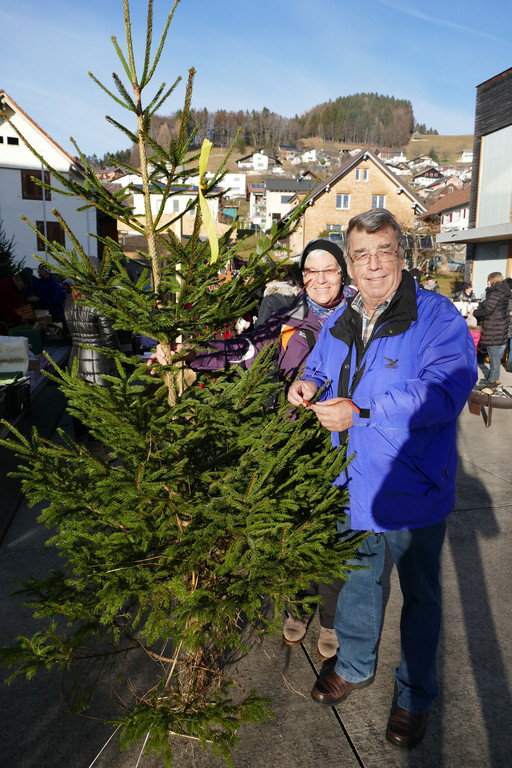 Christbaummarkt_2016 _10_.JPG