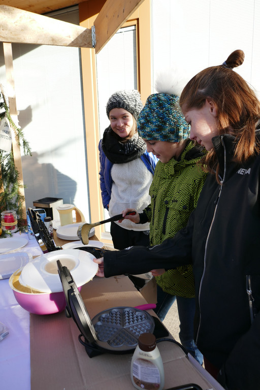 Christbaummarkt_2016 _13_.JPG