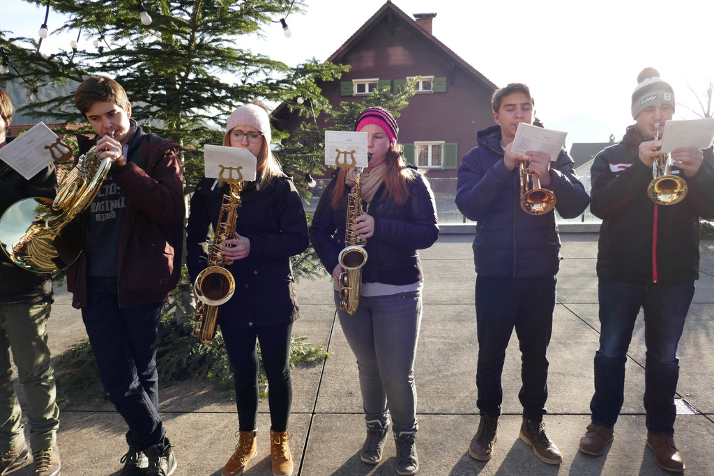 Christbaummarkt_2016 _20_.JPG