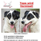 TOPA 