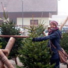KOE_Christbaummarkt Pfadfinder FK 5.jpg