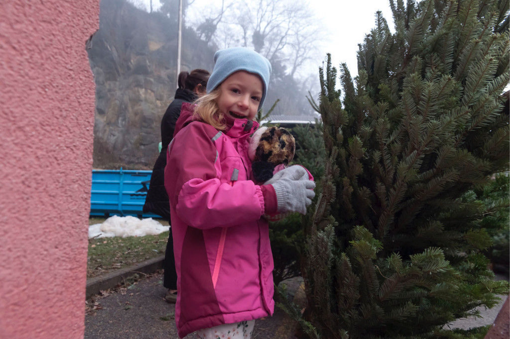 KOE_Christbaummarkt Pfadfinder FK 7.jpg