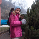 KOE_Christbaummarkt Pfadfinder FK 7.jpg